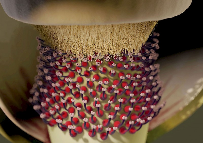 Der Visualisierung liegt ein sehr detailliertes 3D-Modell zugrunde. Ausschnitt aus der Bachelorarbeit von Alessandro Holler (2015).