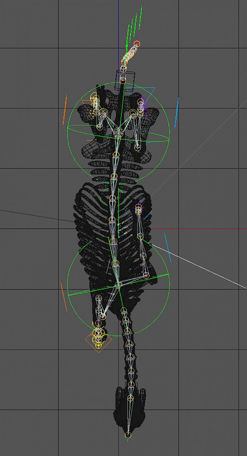 Animation/Rigging des Pferdeskeletts.