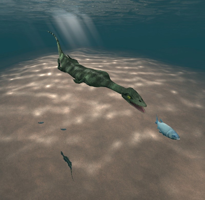 Frame of the animation: Neusticosaurus peyeri chasing fishes in the Triassic lagoon