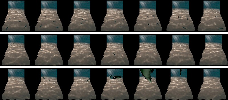 Sequence of animation