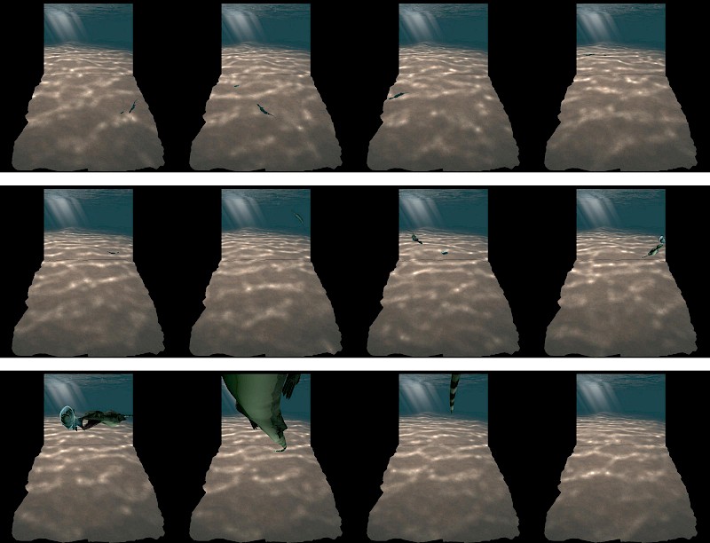 Sequence of animation