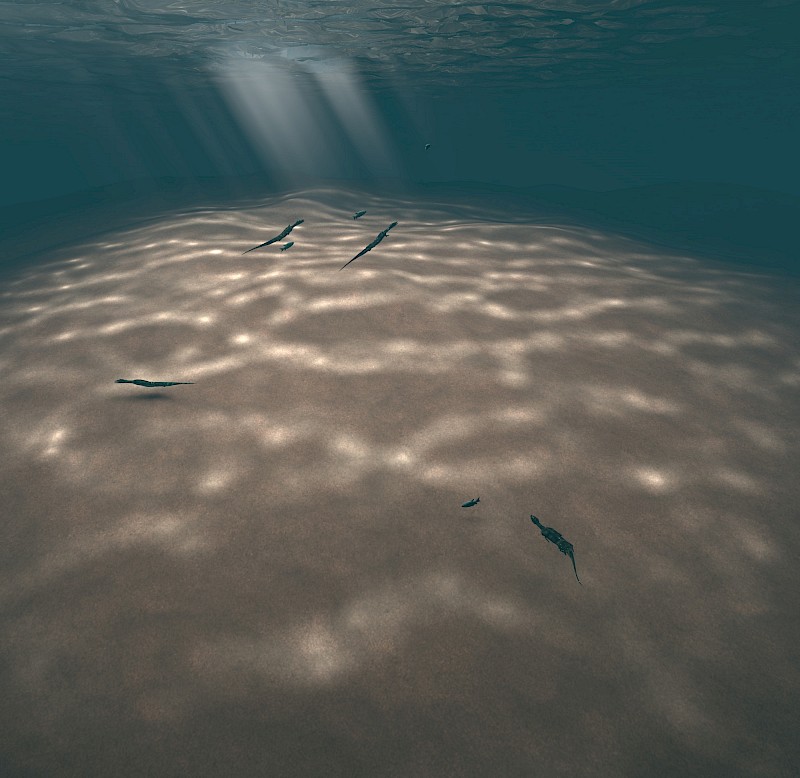 Frame of the animation: Neusticosaurus peyeri chasing Triassic fishes in their natural habitat