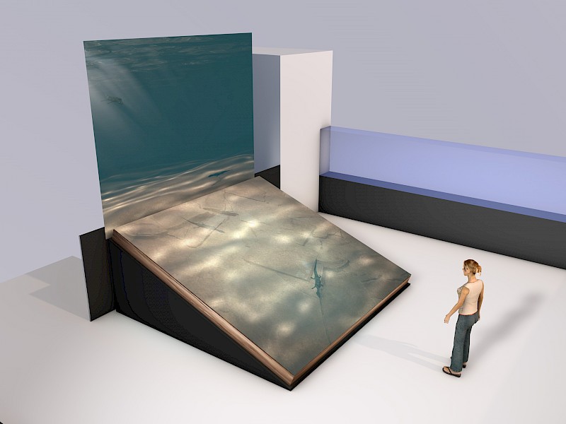 Visualization of the installation in the museum