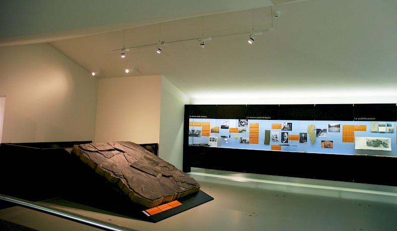 Rock plate in the museum