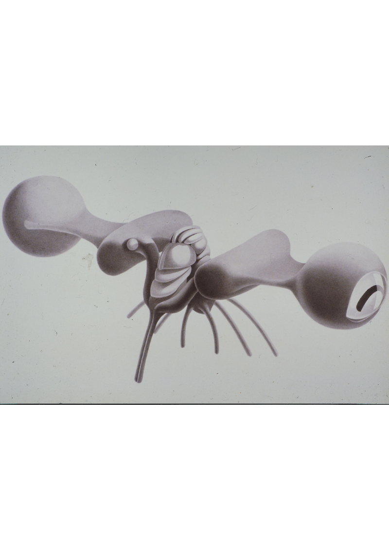 Verhaltensschemen von Octopus vulgaris
