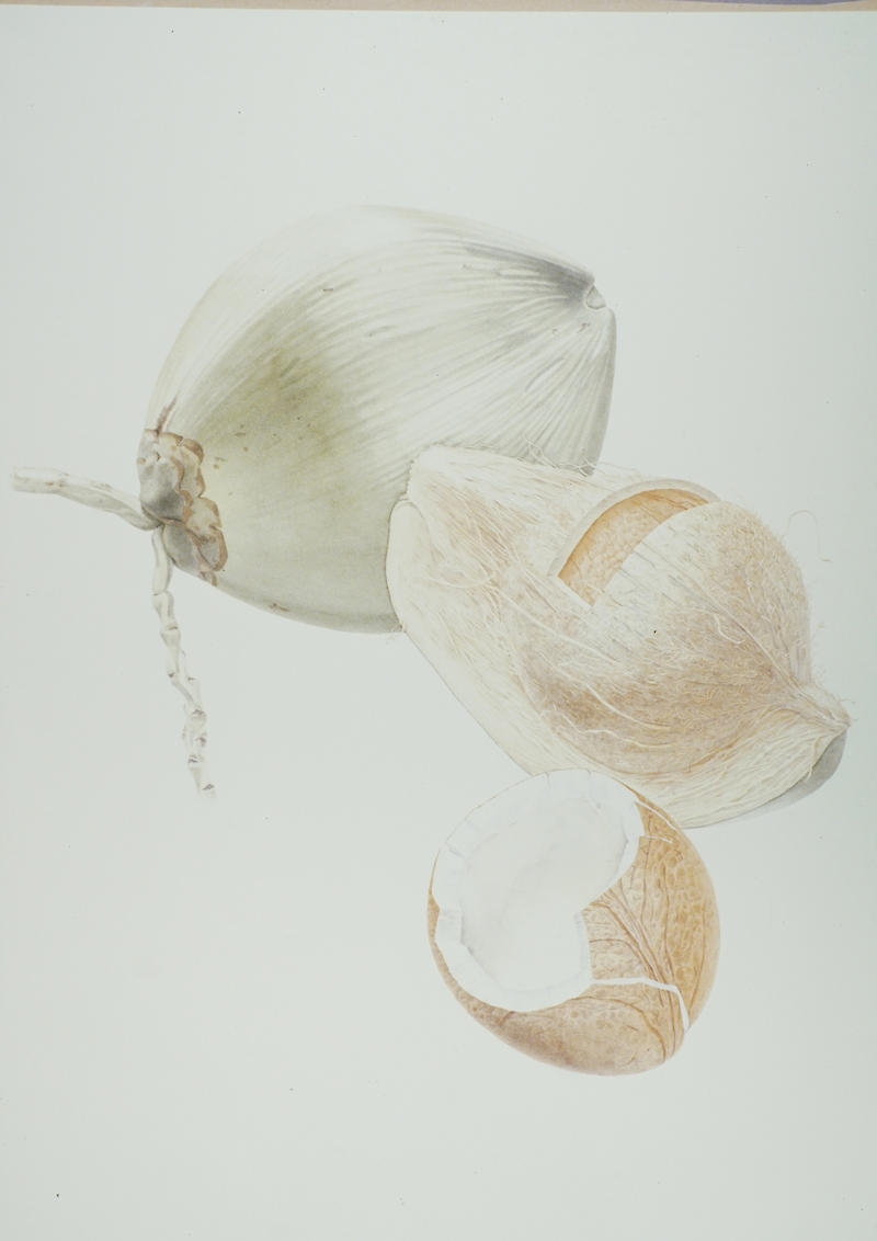 Durian