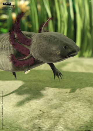2013 / Still aus 3D-Animation.
