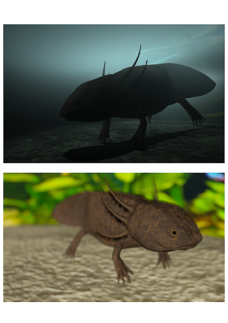 Axolotl – Ein Regenartionsmysterium