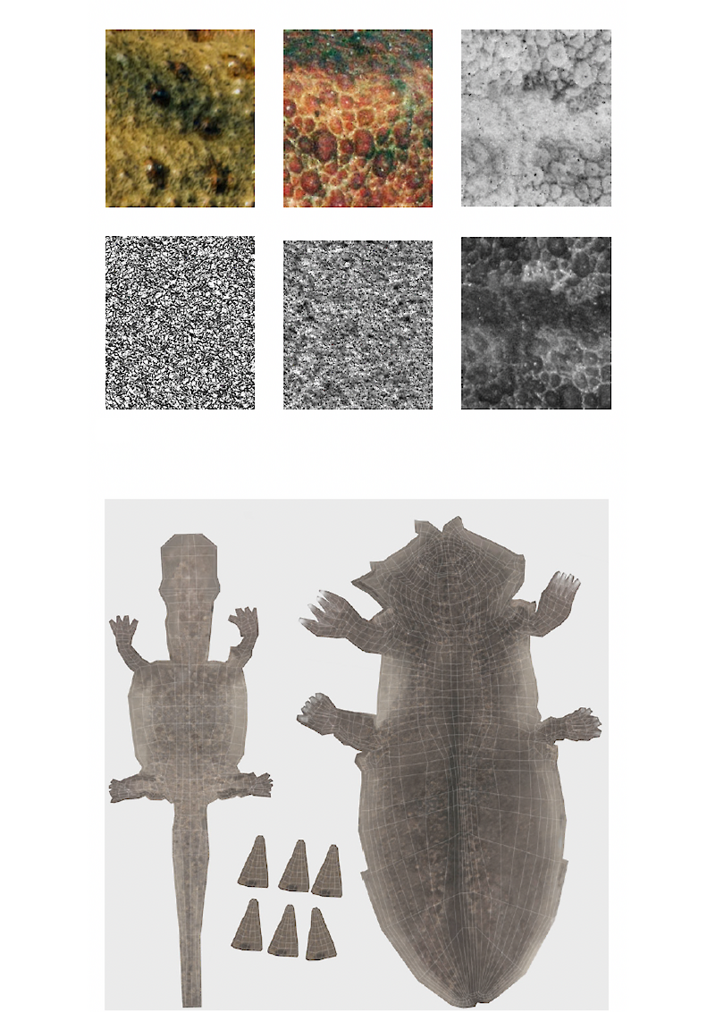 Axolotl – Ein Regenartionsmysterium