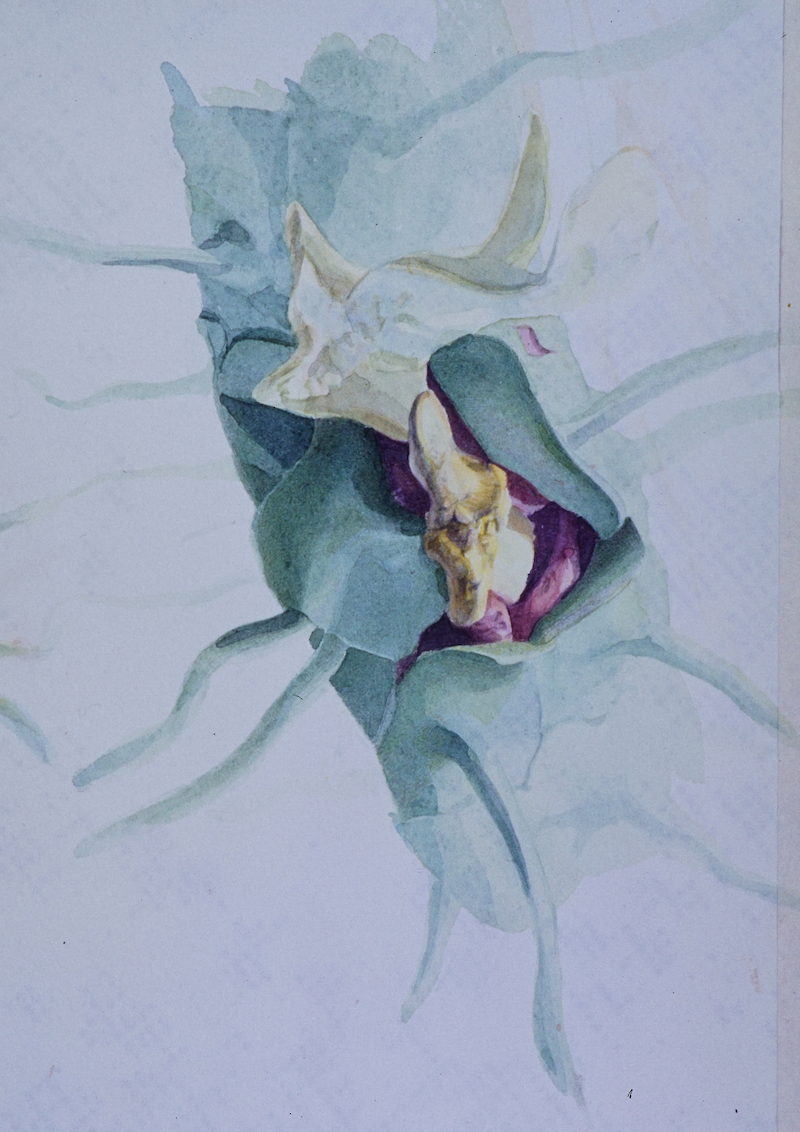 Multiple Sklerose