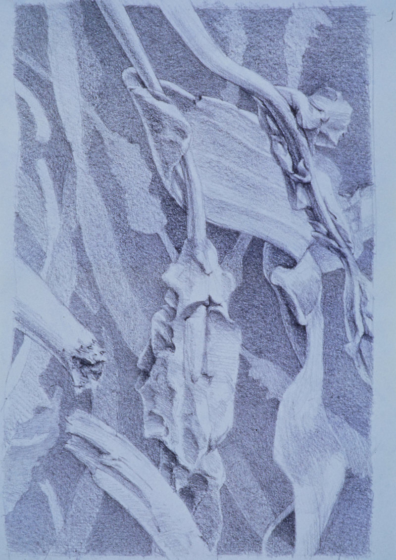 Multiple Sklerose