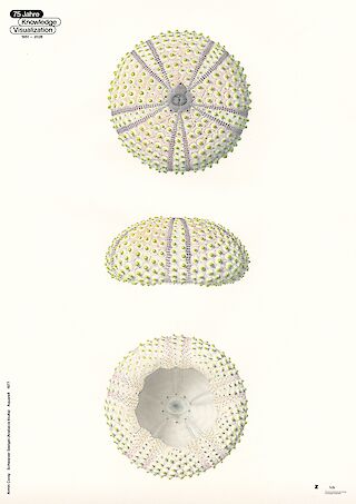 1977 / Aquarell.