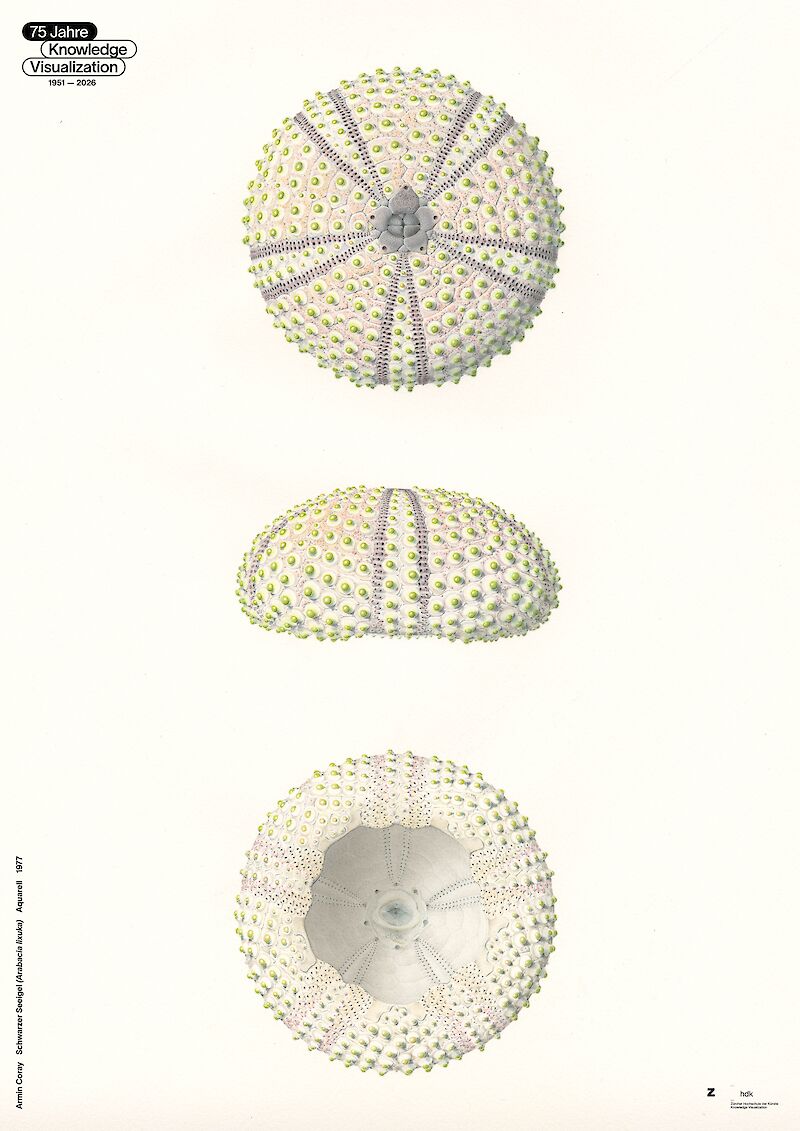 1977 / Aquarell.