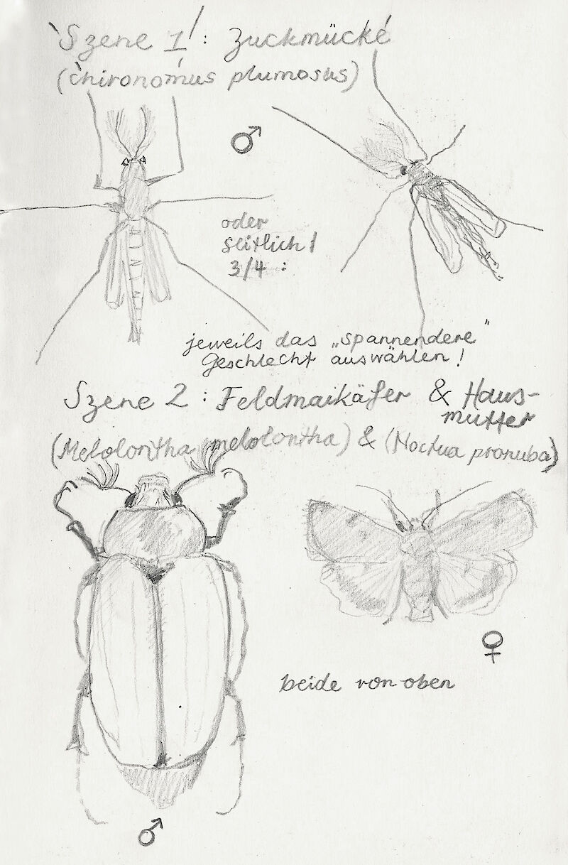 Kleinskizzen zu den fünf Plakaten im Skizzenbuch.