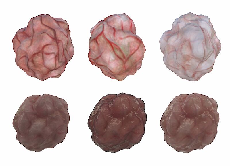 Entwicklung des Tumors von der Texturierung in Procreate bis zum finalen Material in Cinema4D.