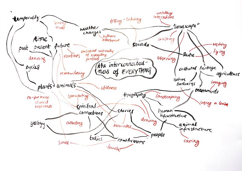 Mindmap als Einstieg in die Arbeit: Was ist eigentlich alles „Landschaft“? Welche Zugänge gibt es für mich um Phänomenen und Akteur*innen in der Landschaft zu begegnen?