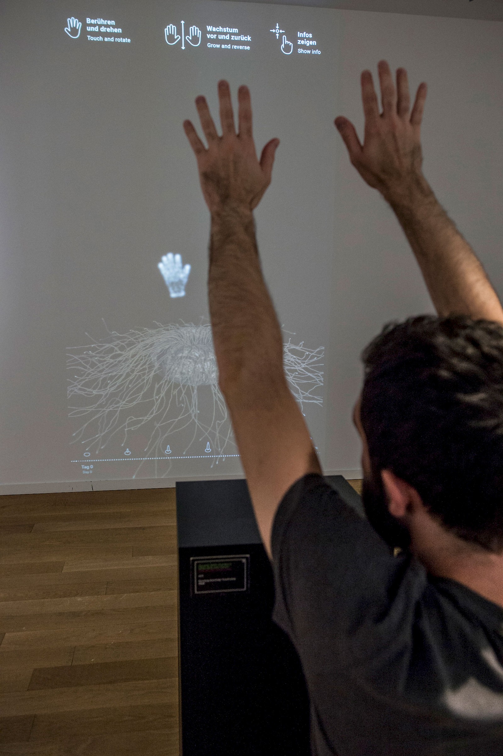 Durch intuitive Gesten kann das virtuelle Modell der Titanwurz zum Wachsen und Blühen gebracht werden.