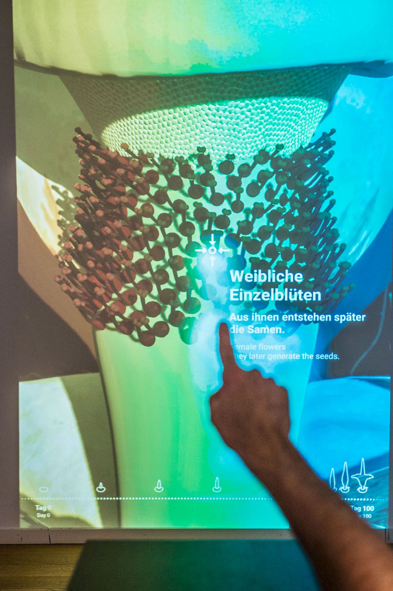 Durch einfaches Zeigen mit dem Finger können weitere Informationen abgerufen werden.