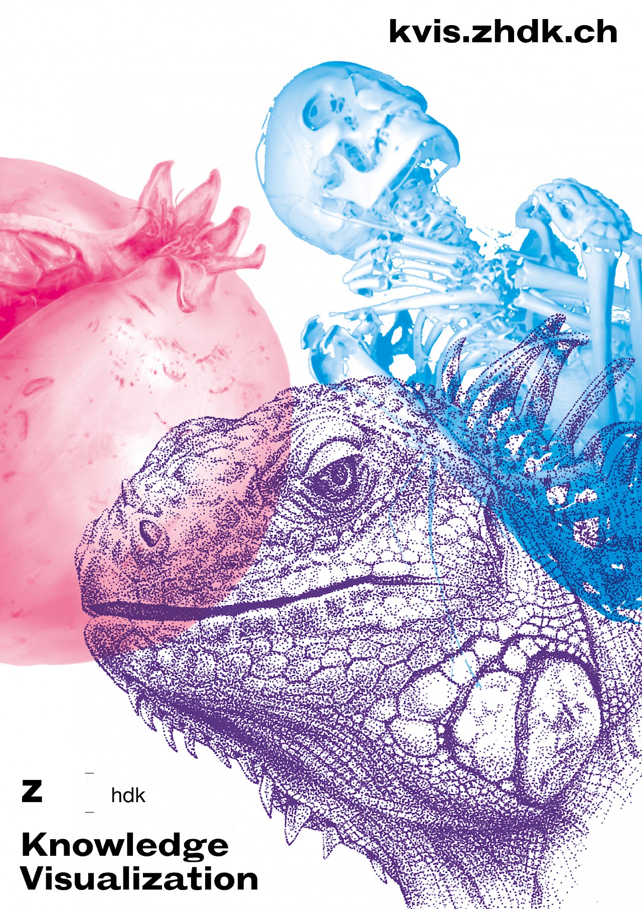 Im Flyer zu unserer neuen Website sind Inhalte, Techniken, Forschung und Geschichte vereint: Ein 3D-Mumienscan aus dem Bereich der bildgebenden Verfahren von Oliver Demuth und Pascal Glatzfelder aus einer Kooperation mit dem Institut für Evolutionäre Medizin, ein Granatapfel als Tonwertstudie in digitaler Malerei von Gioia Epprecht und eine Echse in traditioneller Tuscheumsetzung von Andrea Klaiber.