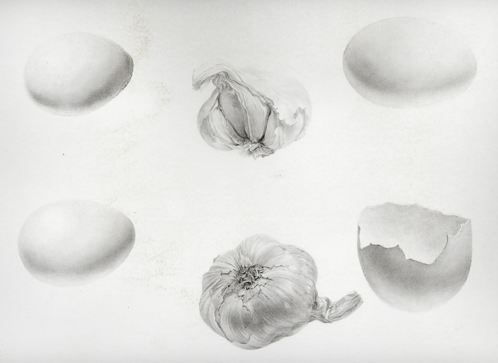 Eier- und Knoblauchstudie, lavierte Tusche auf Papier, Xia Zheng
