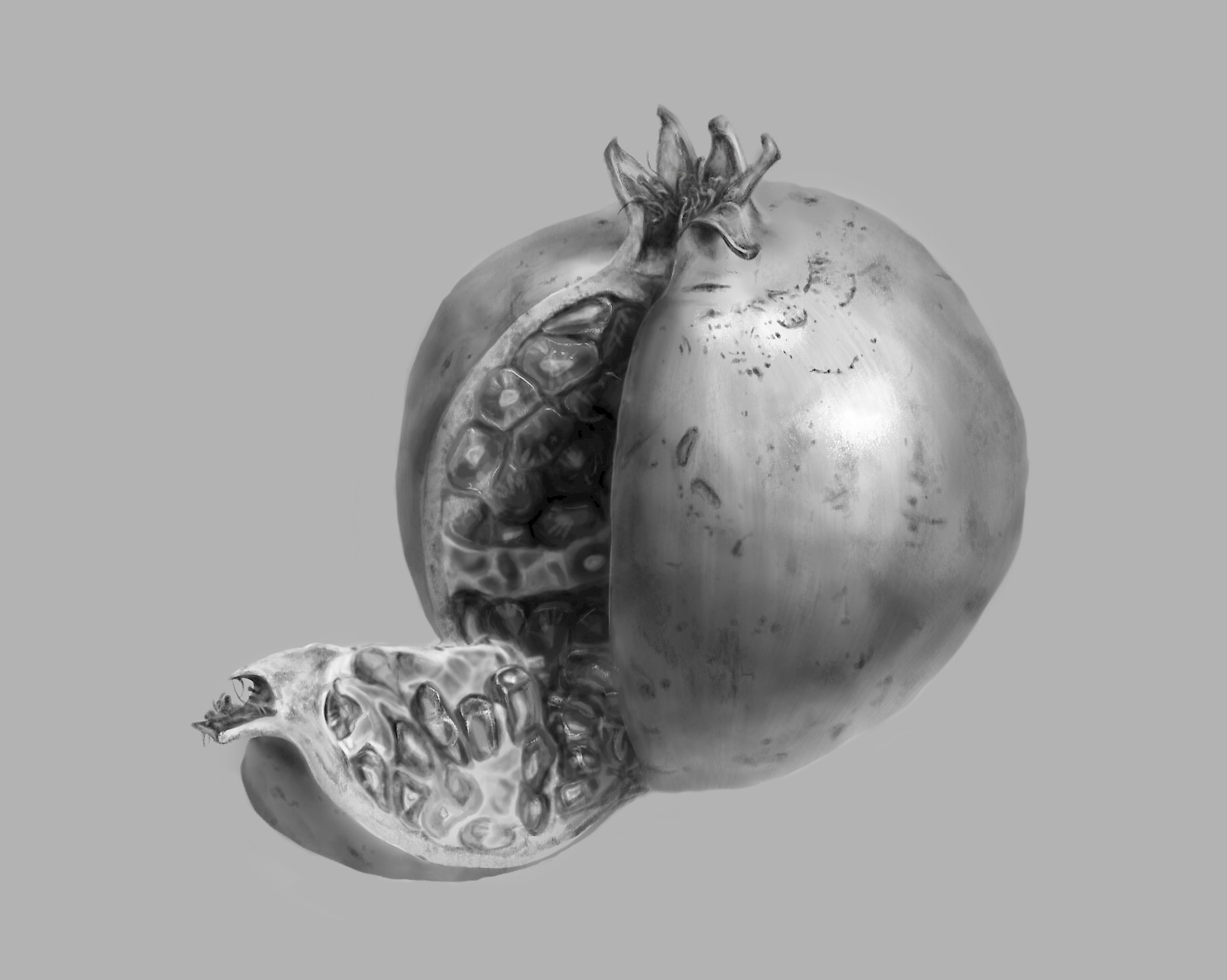 Granatapfelstudie, digitale Malerei, Gioia Epprecht