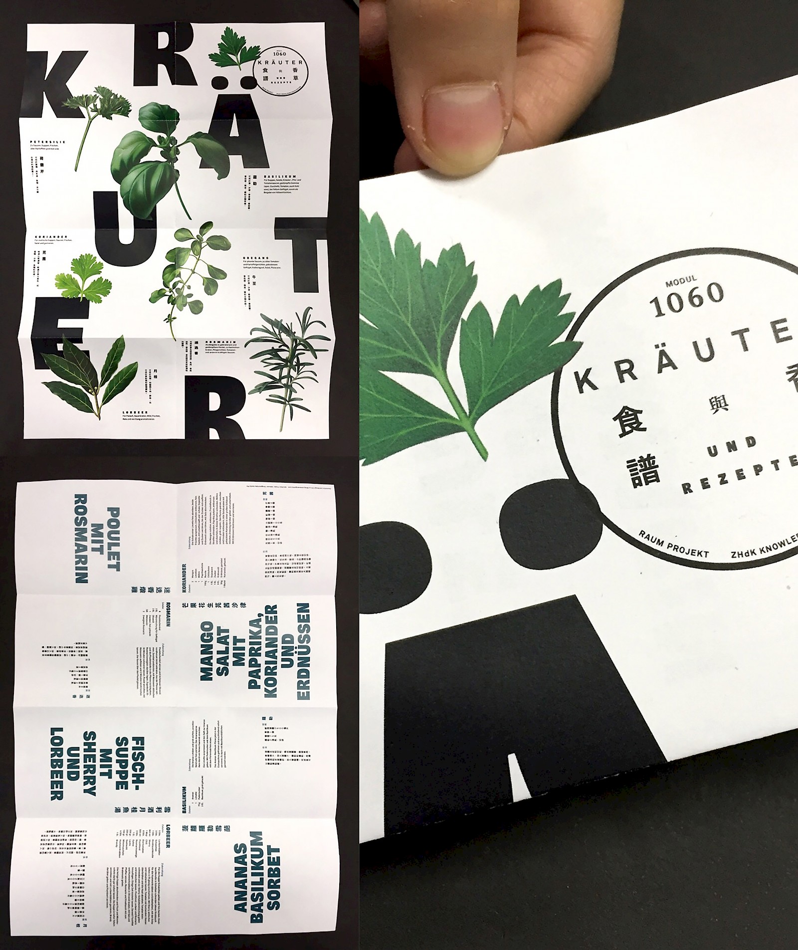 Faltplakat, Chi Lui Wong