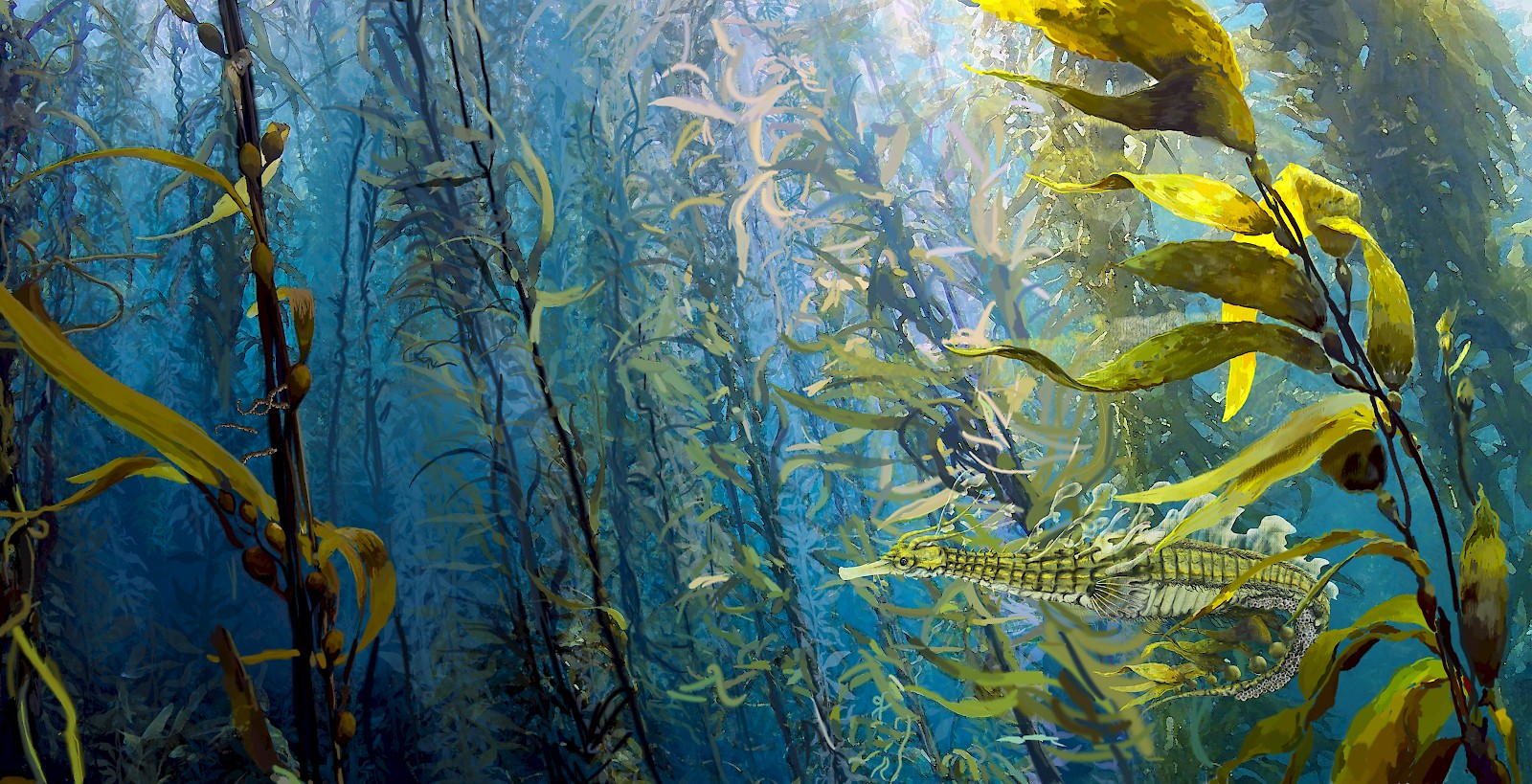 Topos, Luca Bermúdez