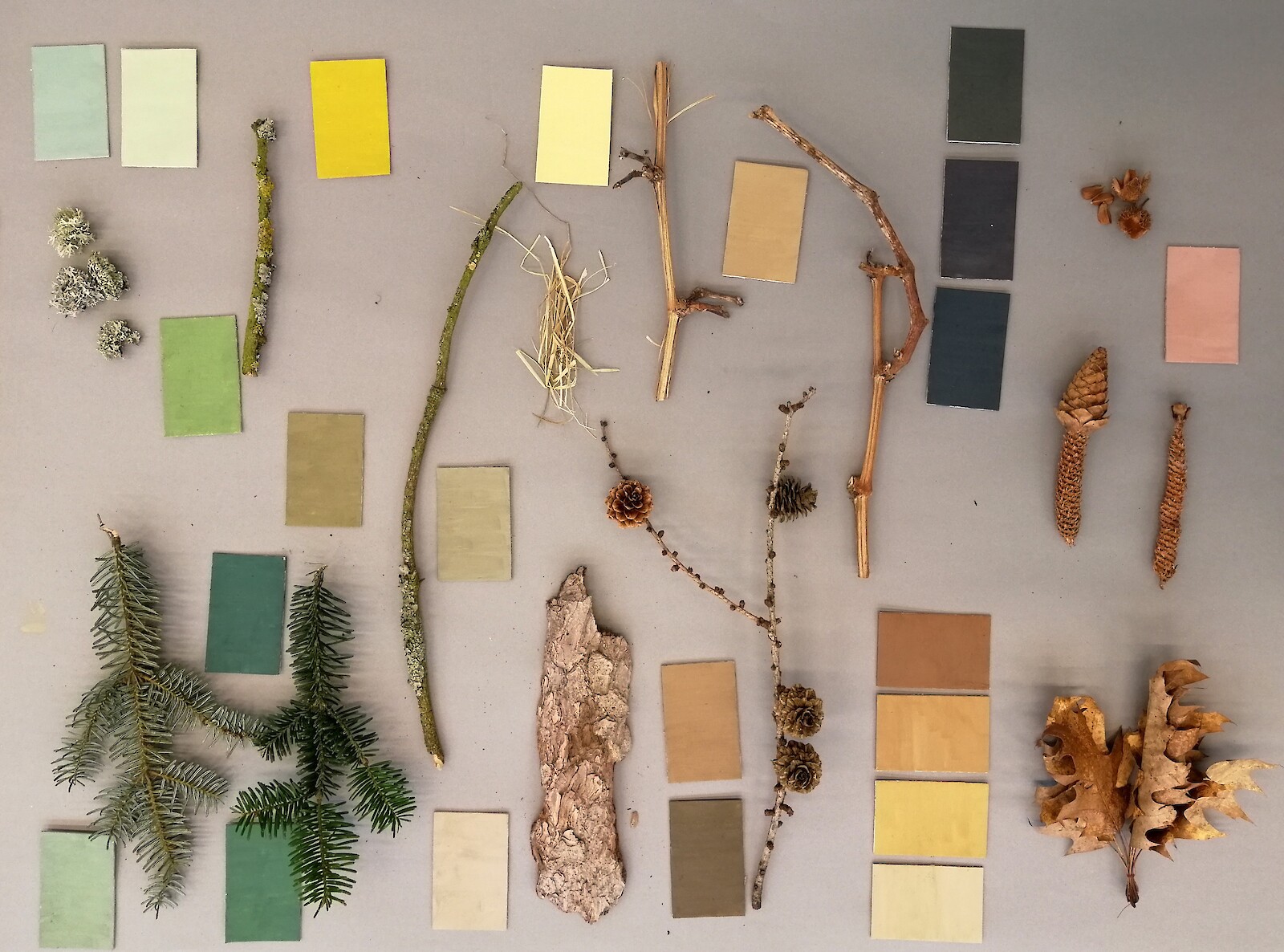 Tina Schwendener, Farbpalette, 2019