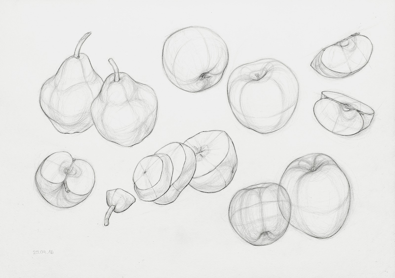 Äpfel- und Birnenstudie, Bleistiftzeichnung, Chantal Beck