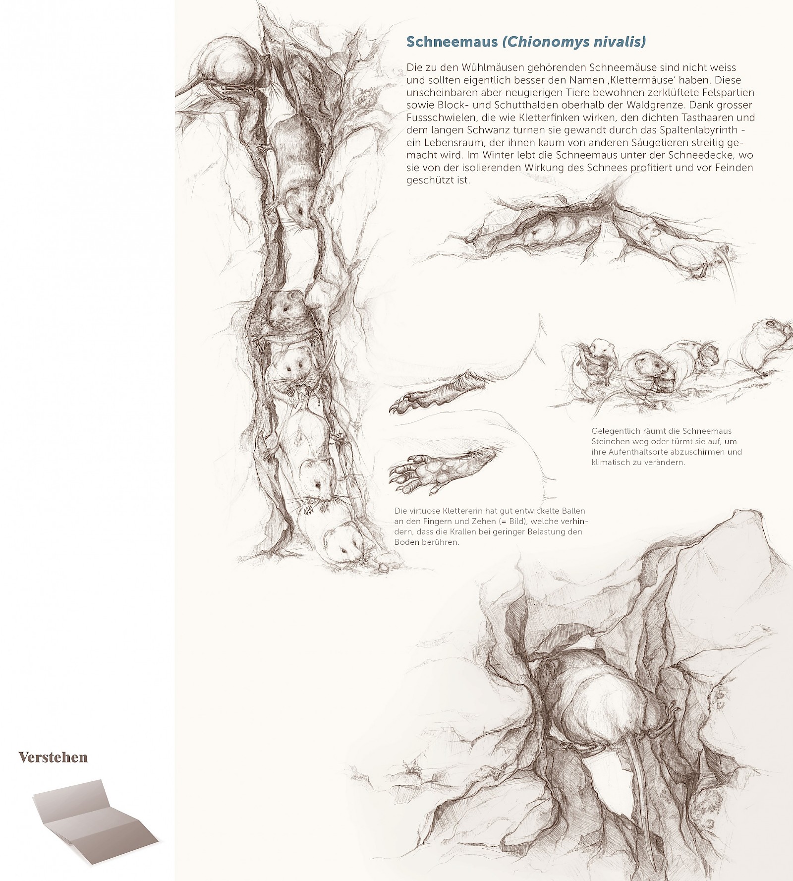 Verborgenes entfalten
