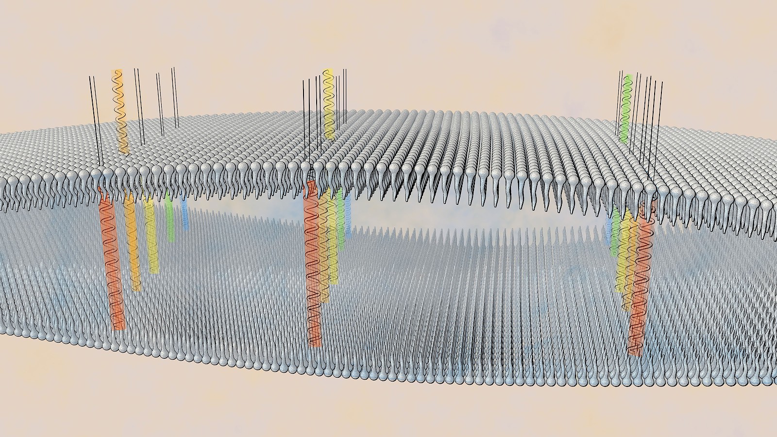 Chamäleon und Seifenblase
