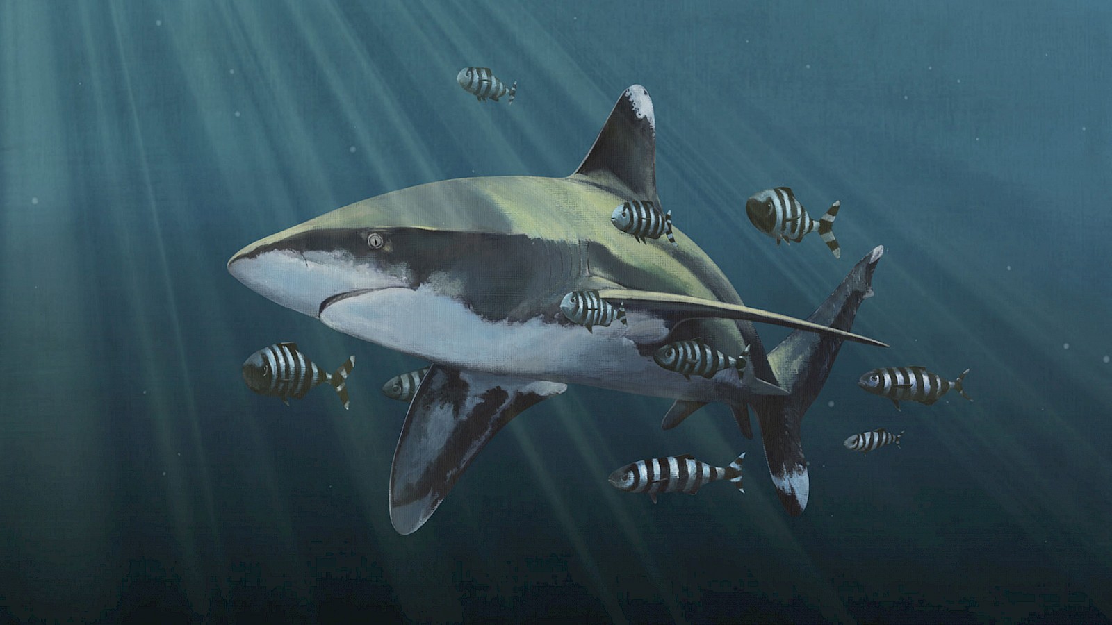 Eine sensible Welt der Sinne