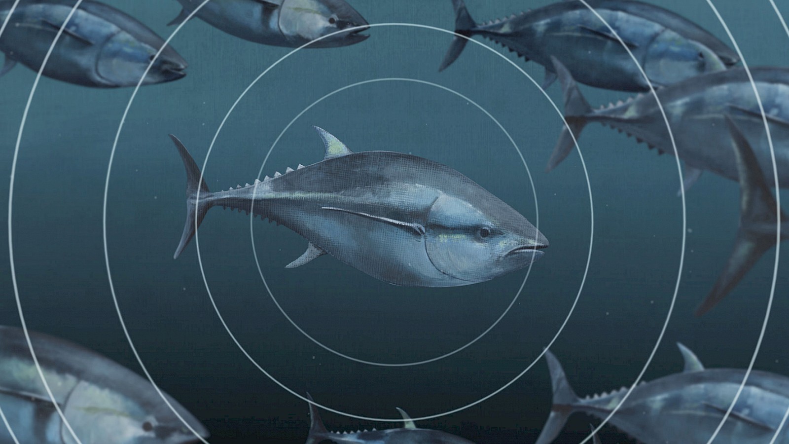 Eine sensible Welt der Sinne