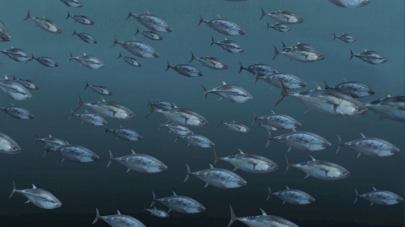 Eine sensible Welt der Sinne