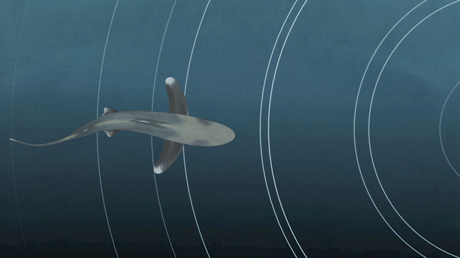 Eine sensible Welt der Sinne