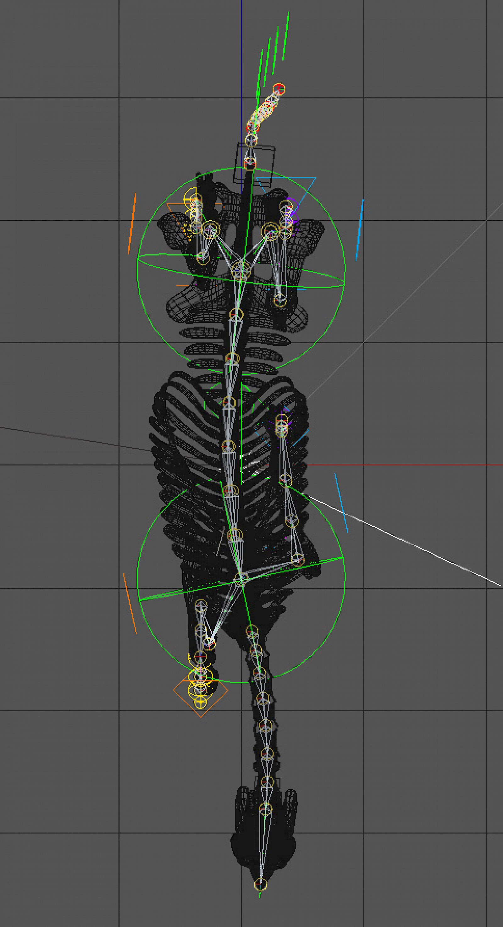 Animation/Rigging des Pferdeskeletts.