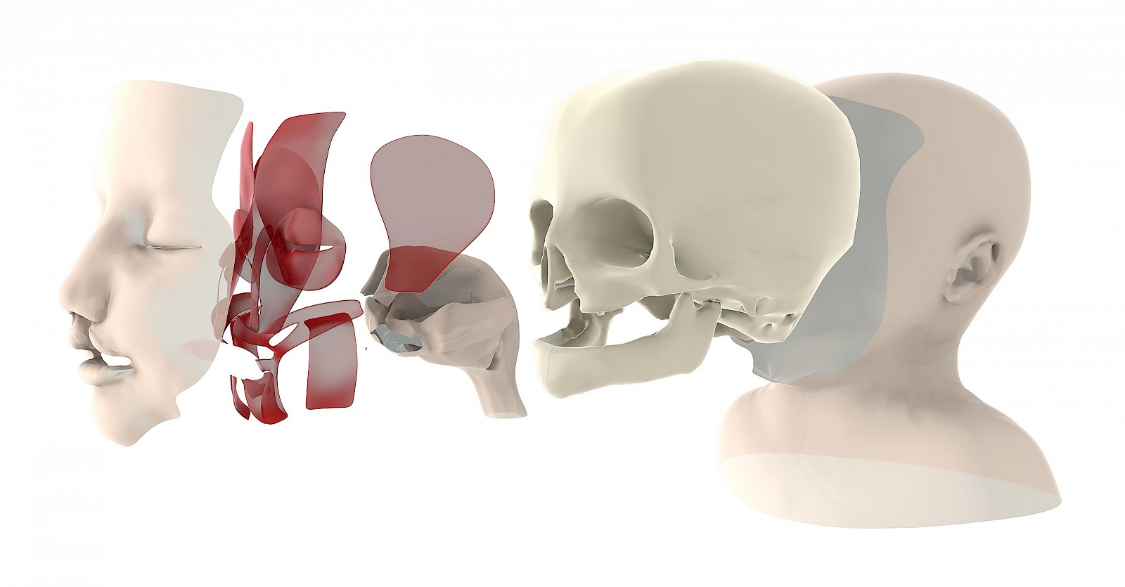 Eine Explosionsdarstellung zeigt die Vielschichtigkeit des virtuellen Modells.