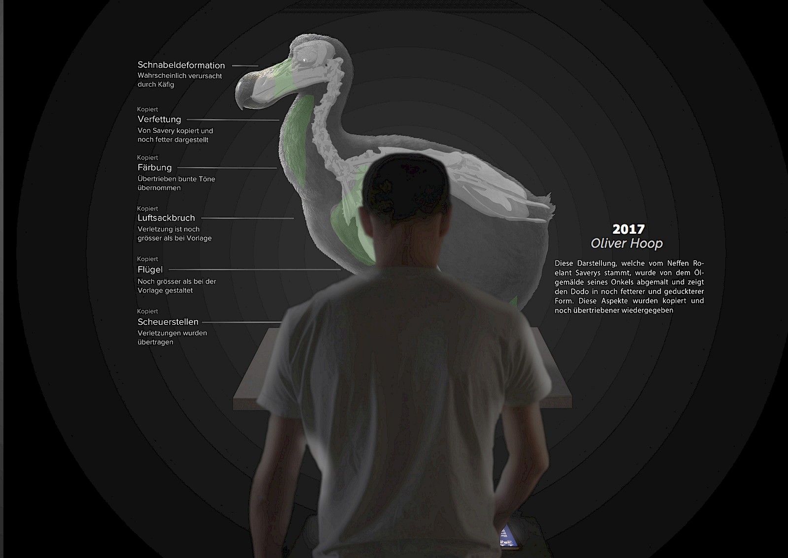 Die Interaktive Projektion als Erlebnis