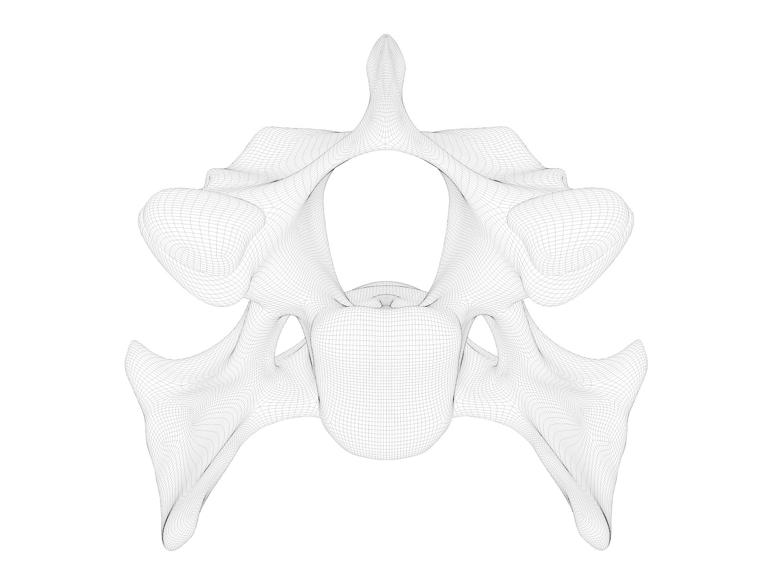 Das Canine-Wobbler-Syndrom