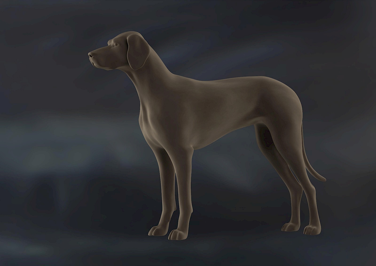 Das Canine-Wobbler-Syndrom