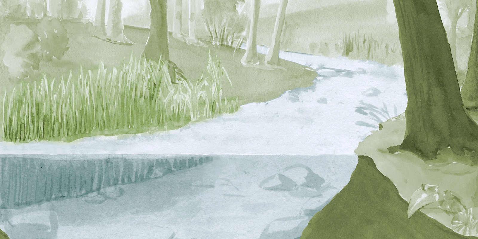 Lebensraum (der Bach): Ein Bach ist ein komplexes Habitat mit vielen Tier- und Pflanzenarten, daher musste sein Konzept sorgfältig geplant werden. Sein Stil sollte zu den Insektendarstellungen passen.