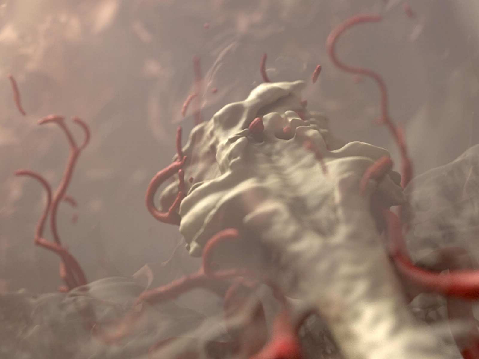 Gestaltete MRT- & CT-Daten (Hirnstamm, Arterien, Knochen), Zoom.