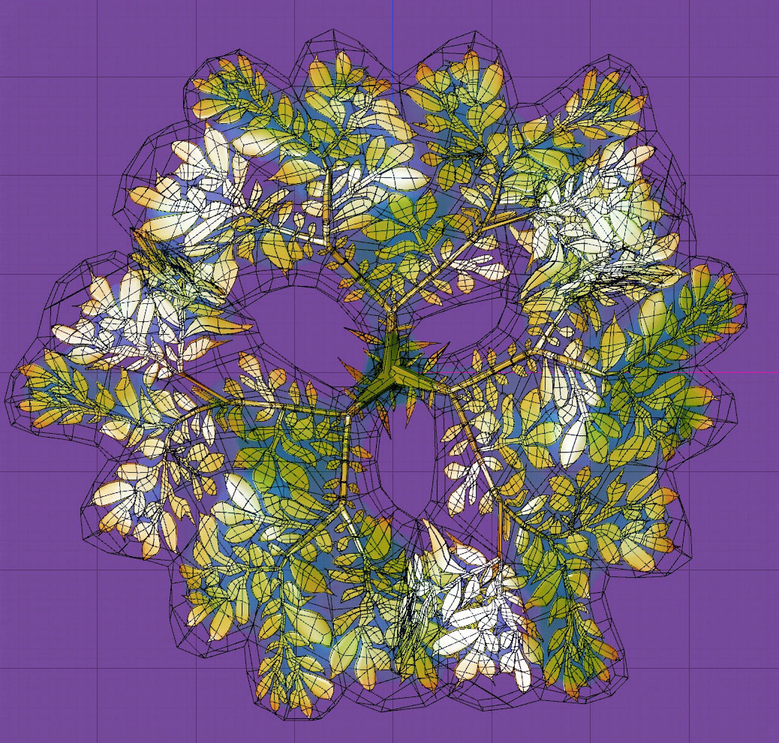 Das Blatt der Titanwurz hat eine spezielle dreiachsige Symmetrie. Modell in Maxon Cinema 4D, Alessandro Holler 2016.