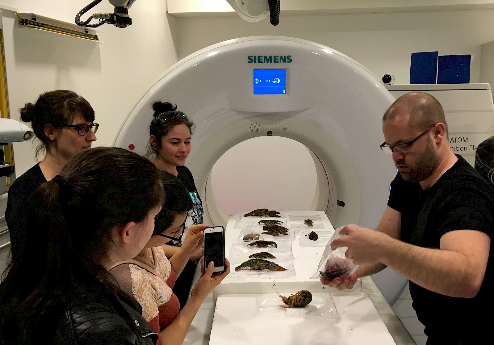 Am Institut für Rechtsmedizin legen wir Flusskrebse in den CT-Scanner.