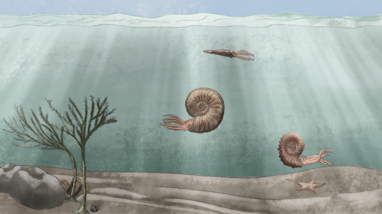 Videostill aus der Animation von Rahel Kern und Smilla Berger