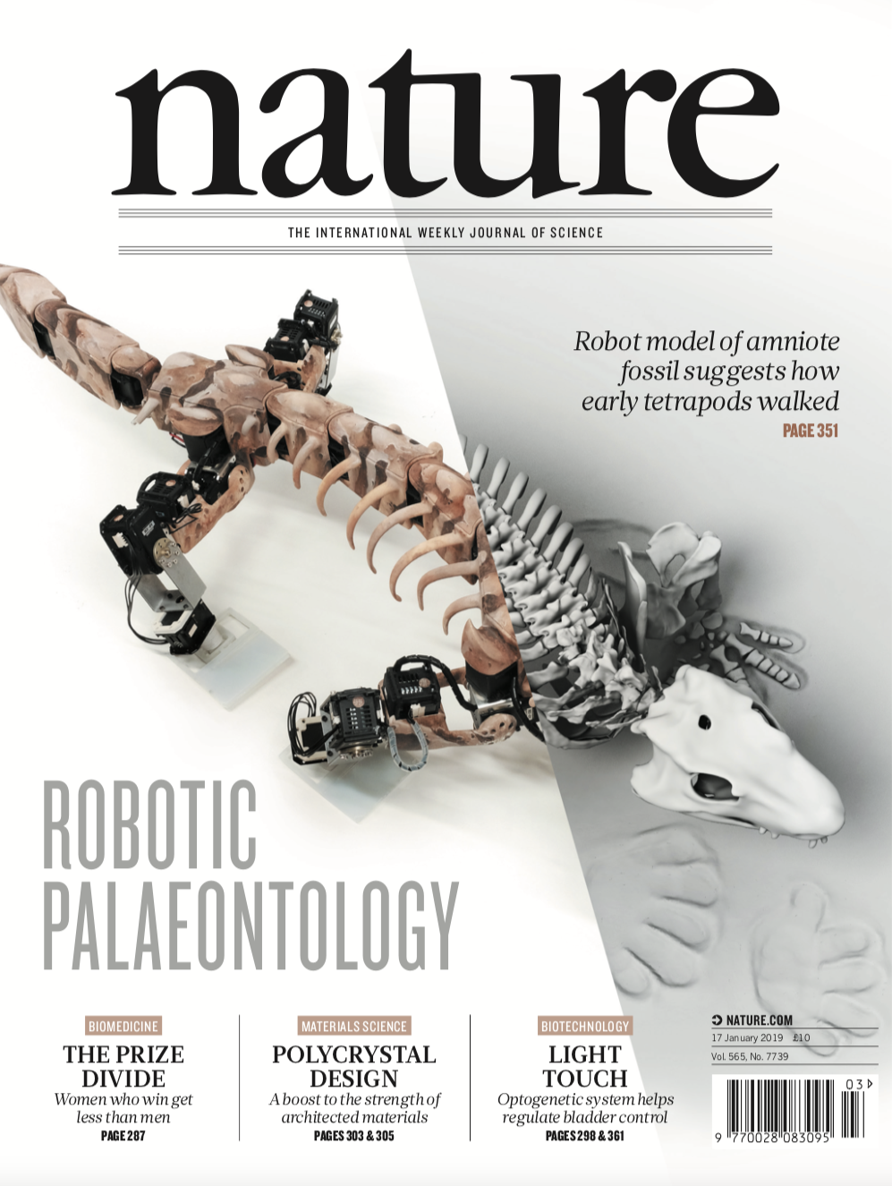 Das Titelblatt der Zeitschrift «Nature», Ausgabe Januar 2019.