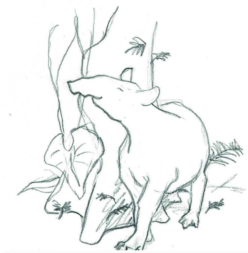 By communicating emotions in the character we can transfer feelings to the audience, triggering empathy and helping tell the story. The more the viewer can understand the character’s motivations the more he or she will be interested in helping the species.