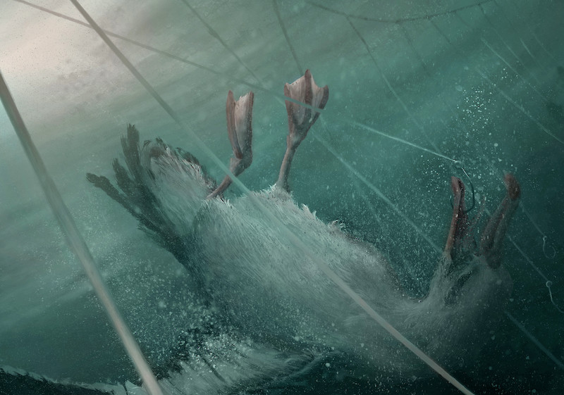 Der Albatros:  Die Langleinen werden als gestalterische Elemente eingesetzt und als möglichst grosse Bedrohung für den Vogel inszeniert.