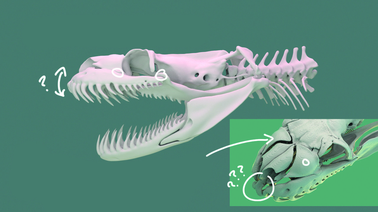 Du bist, was du frisst