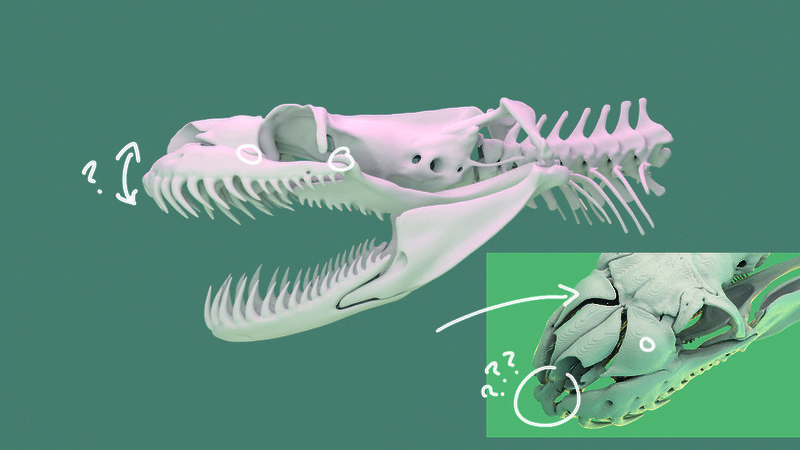 Du bist, was du frisst